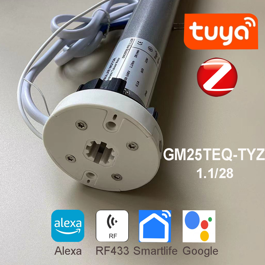 Tuya Zigbee GM25TEQ 1.1N Motor - Smart Home Youtube reseña y precio