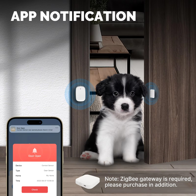 Sensor de Puerta y Ventana Int - Smart Home Ecosystems reseña y precio
