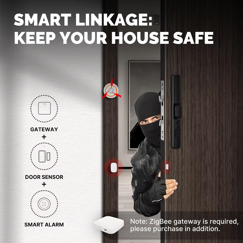 Sensor de Puerta y Ventana Int - Smart Home Ecosystems reseña y precio