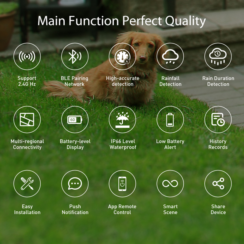 Sensor de Lluvia WiFi, Detecci - Smart Home Nas reseña y precio